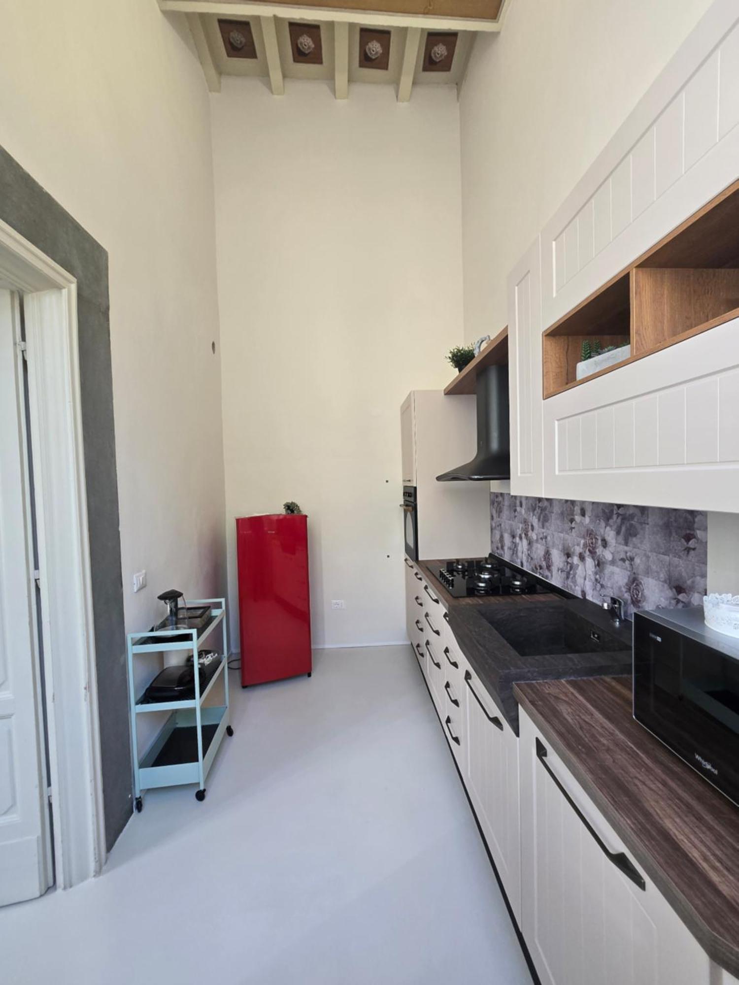 Fabroniana Apartment Elegant ピストイア エクステリア 写真